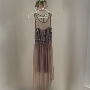 Elegant Sequined Sheer Dress